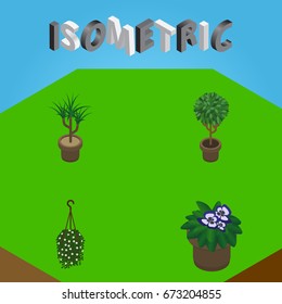 Isometric Flower Set Of Tree, Flowerpot, Blossom And Other Vector Objects. Also Includes Flower, Plant, Hanging Elements.