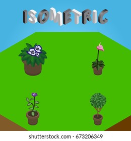 Isometric Flower Set Of Tree, Flower, Grower And Other Vector Objects. Also Includes Flowerpot, Plant, Flower Elements.