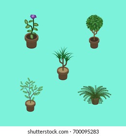Isometric Flower Set Of Tree, Plant, Fern And Other Vector Objects. Also Includes Flower, Plant, Pot Elements.