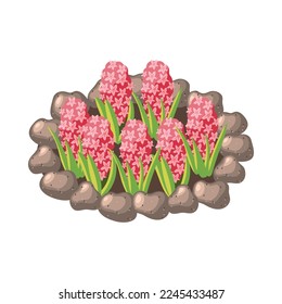 Isometrische Blumenbeete, umgeben von Steinen 3D-Vektorgrafik