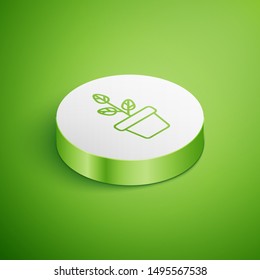 Isometric Flowers in pot icon isolated on green background. Plant growing in a pot. Potted plant sign. White circle button. Vector Illustration