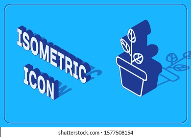 Isometric Flowers in pot icon isolated on blue background. Plant growing in a pot. Potted plant sign.  Vector Illustration