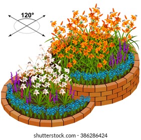 Isometric flowers in vector 