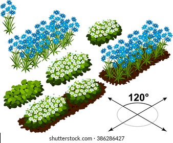 Isometric flowers in vector 