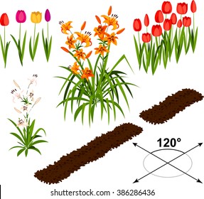 Isometric flowers in vector 