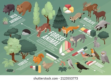 Isometric forest animal horizontal composition with infographic bar charts text captions with animals and tree icons vector illustration