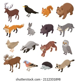 Isometric forest animal set with isolated icons of wild fauna representatives with birds on blank background vector illustration