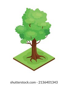Isometrische Naturelement-Zusammensetzung des Waldparks mit rechteckiger Plattform und Eichenbaum, Vektorgrafik
