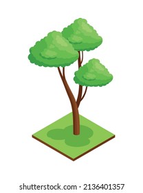 Composición de elementos naturales del parque forestal isotípico con plataforma rectangular e ilustración del vector de árbol exótico