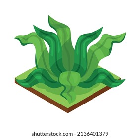 Composición de elementos naturales del parque forestal isométrico con plataforma rectangular e ilustración del vector de césped exótico