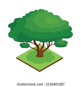 Composición de elementos naturales del parque forestal isotípico con plataforma rectangular e ilustración del vector de árbol exótico