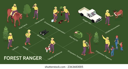 Infografías de rangos forestales isométricos con diagrama de flujo de personajes humanos aislados con árboles animales y subtítulos de texto ilustraciones vectoriales