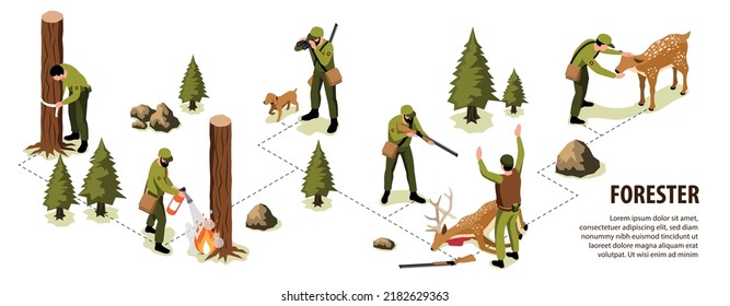 Infografía isométrica de bosques y guardabosques con árboles y animales que protegen la ilustración de vectores