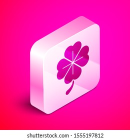 Isometric Four leaf clover icon isolated on pink background. Happy Saint Patrick day. Silver square button. Vector Illustration