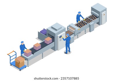 Isometric Fresh Chicken eggs are Moving on a Conveyor Belt, Being Sorted According to Size on a Modern Poulty Factory