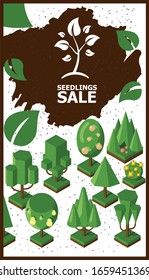 Isometric garden set, vector illustration. Green trees, bushes and flowers for game or map. Title letters for gardening store brochure cover, gardeners shop poster summer sale
