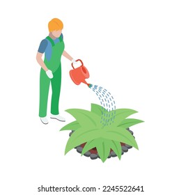 Isometric gardener in uniform watering plant 3d vector illustration