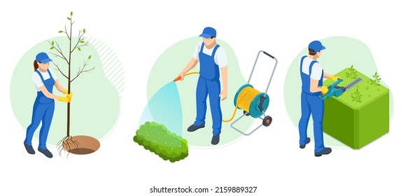 Isometric gardeners, farmers and workers caring for the garden, growing agricultural products, watering a vegetable garden, plant fruit trees