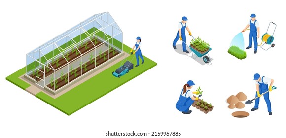 Isometric gardeners, farmers and workers caring for the garden, growing agricultural products. Rows of plants growing inside big industrial greenhouse. Industrial agriculture.