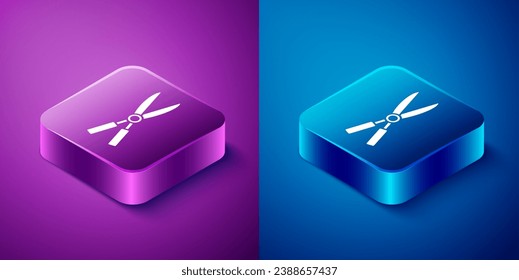 Isometric Gardening handmade scissors for trimming icon isolated on blue and purple background. Pruning shears with wooden handles. Square button. Vector Illustration