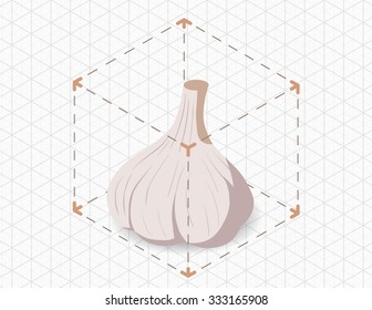 isometric garlic in bounding box
