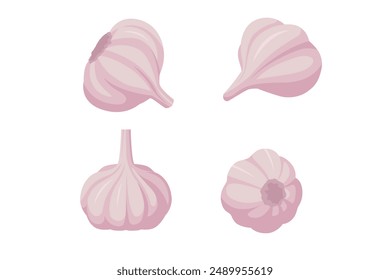 Isometric Garlic bulb isolated. Garlic bulb on white background. Garlic is a fundamental component in many or most dishes of various regions