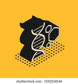 Icono de ingeniería genética isométrica aislado en fondo amarillo. Análisis de ADN, pruebas genéticas, clonación, pruebas de paternidad. Ilustración vectorial