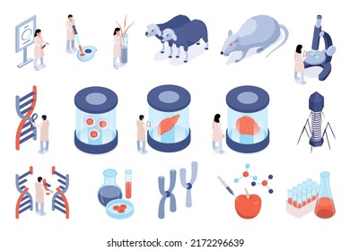 Isometric Genetic Engineering Set With Scientific Lab Tests And Experiment Symbols Isolated Vector Illustration