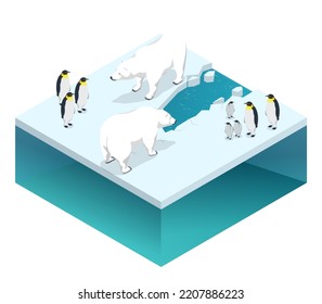 Isometric global warming, Climate change. Ecological catastrophe. Polar bear and penguin on ice floe. Melting iceberg and global warming. Climate change. Ecological catastrophe