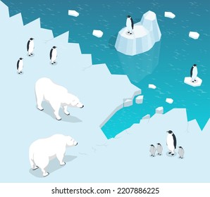 Isometric global warming concept. Polar bear and penguin on ice floe. Melting iceberg and global warming. Climate change. Ecological catastrophe