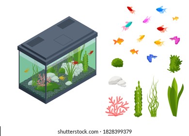 Isometric Goldfish in the Freshwater Aquarium and Set of Aquarium Underwater Elements, Fish, Corals, Green Planted Tropical, Stones Isolated on White Background.