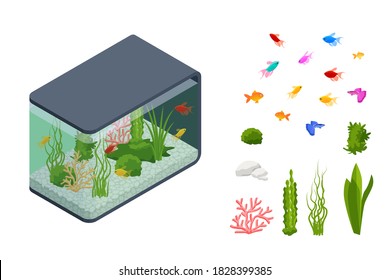 Isometric Goldfish in the Freshwater Aquarium and Set of Aquarium Underwater Elements, Fish, Corals, Green Planted Tropical, Stones Isolated on White Background.