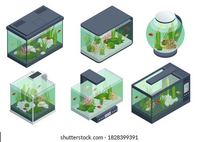 Isometric Goldfish in the Freshwater Aquarium and Set of Aquarium Underwater Elements, Fish, Corals, Green Planted Tropical, Stones Isolated on White Background.