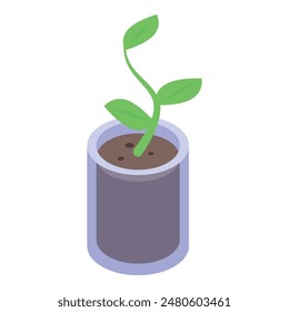 Isometric graphic of a sprouting plant in a pot, symbolizing growth and new beginnings