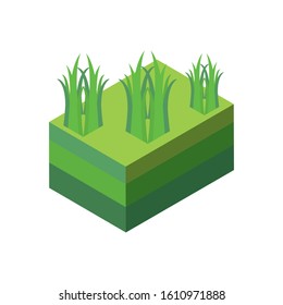 Isometric grass design, Nature element earth eco ecology conservation bio environment and outdoor theme Vector illustration