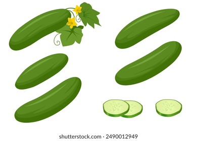 Isometric Green Cucumber. Cucumber a green, crunchy vegetable with high water content, rich in vitamins and minerals. It is a healthy and nutritious food.