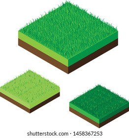 Isometric green grass illustration, vector