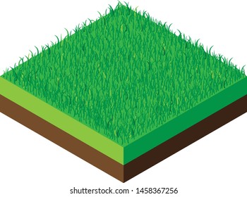 Isometric green grass illustration, vector