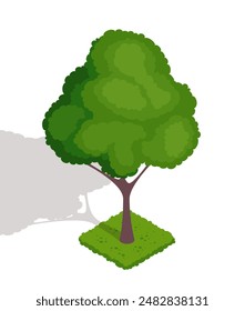 Isometric green tree. Icon with wild forest plant or park aspen with branches and leaves. Woodland tree. Nature and environment. Cartoon 3D vector illustration isolated on white background