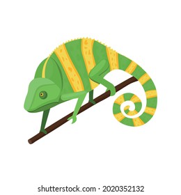 Isometric green and yellow chameleon sitting on tree branch 3d vector illustration