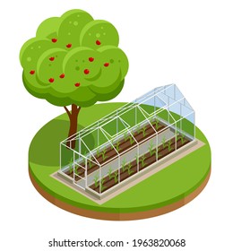 Isometric Greenhouse isolated on white. Growing seedlings in glasshouse. Plants crop in greenhouse