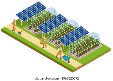 Isometric Greenhouse isolated on white. Growing seedlings in glasshouse. Plants crop in greenhouse svg