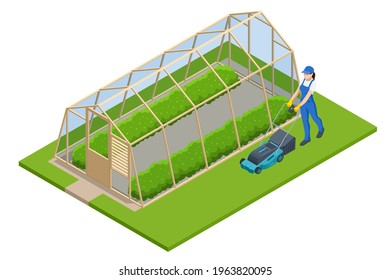Isometric Greenhouse isolated on white. Growing seedlings in glasshouse. Plants crop in greenhouse