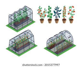 Isometric greenhouse vegetables icon set different types of greenhouses with different microclimates inside specifically for plants vector illustration