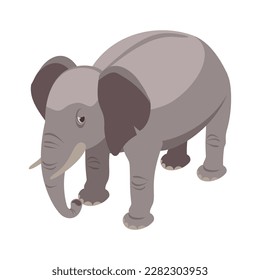 Isometric grey elephant on white background 3d vector illustration