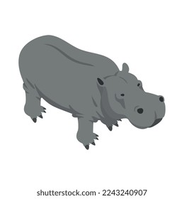Isometric grey hippo on white background 3d vector illustration