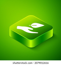 Isometric Hand hold a leaf of the plant icon isolated on green background. Care nature. Leaf shoots with environmental protection. Green square button. Vector