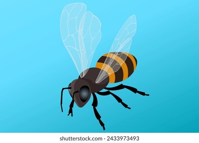 Isometric Honey Bee Flying. People breed honey bees to obtain bee products: wax, honey, poison, propolis, bee bread