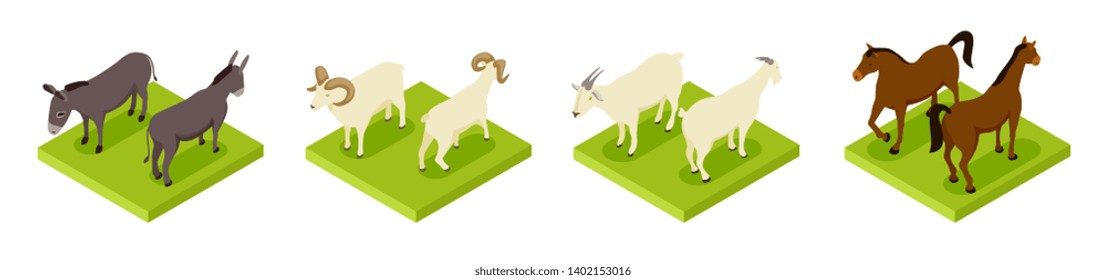 Isometric hoofed cattle. Dunkey, horse, ram and goat 3d vector collection