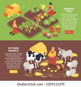 Isometric horizontal banners set with farm animals and farmers reaping harvest 3d isolated vector illustration